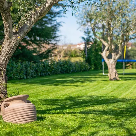 Casa vacanze Cami *