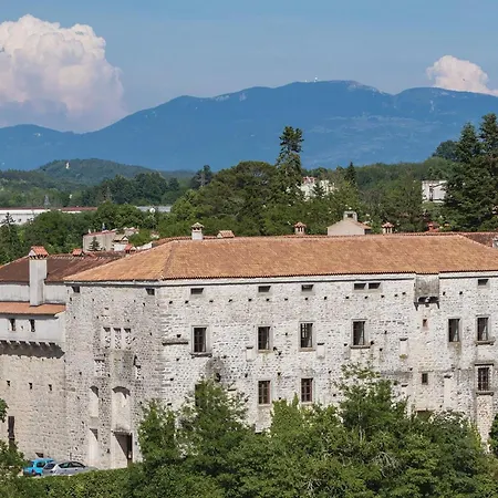Cami * Gržići